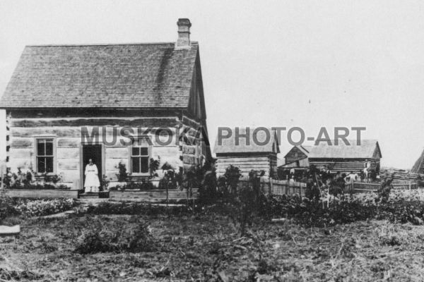 #12 Prosperous Muskoka homestead in 1904